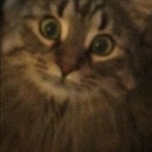 Meet your Posher, Kelly